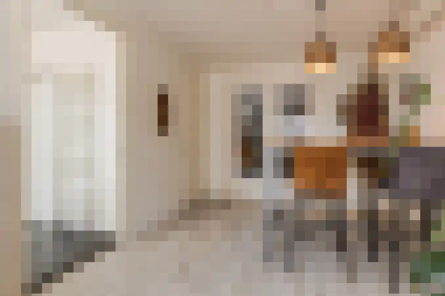 Langecruysstraat 28 Hilvarenbeek thumbnail 16