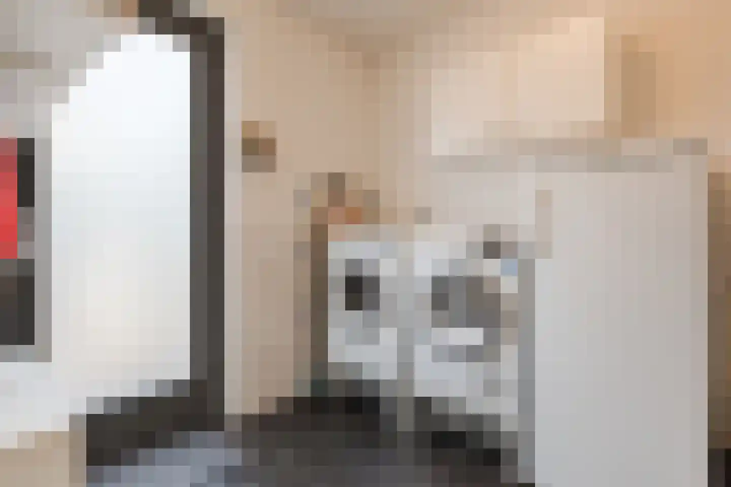 Langecruysstraat 28 Hilvarenbeek thumbnail 21