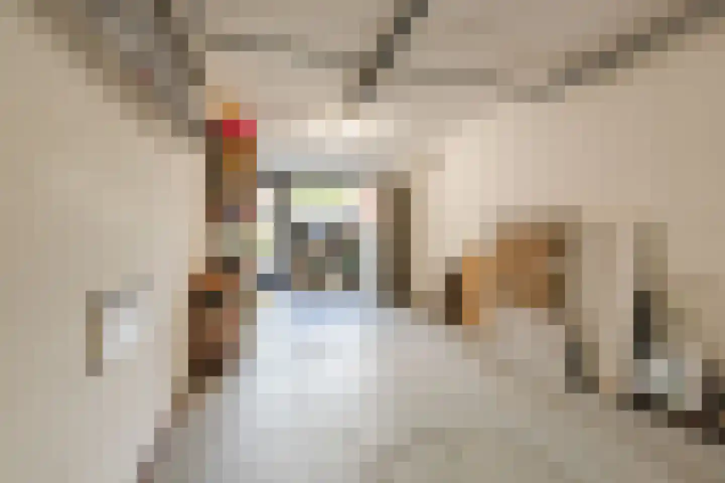 Langecruysstraat 28 Hilvarenbeek thumbnail 24
