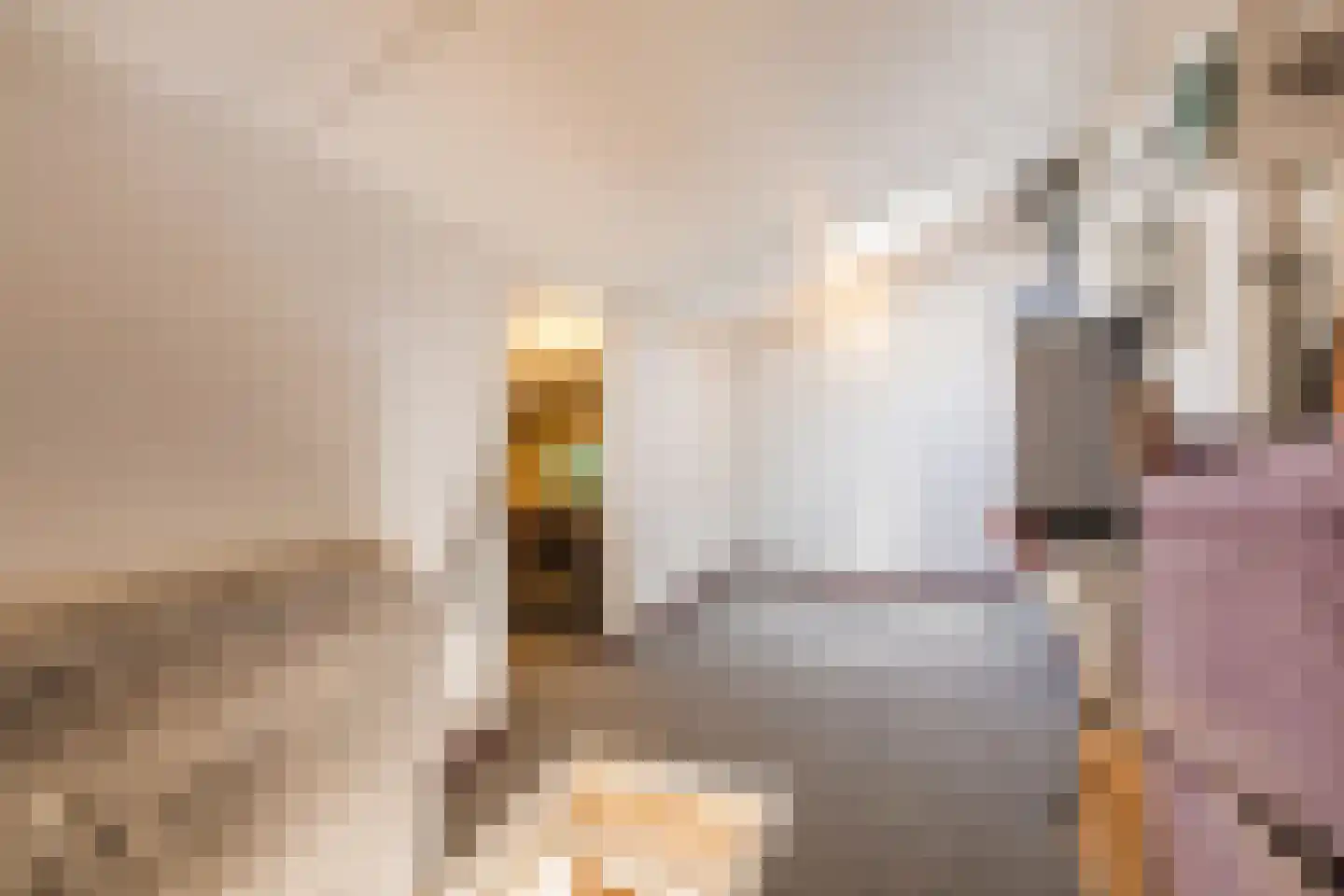 Langecruysstraat 28 Hilvarenbeek thumbnail 39