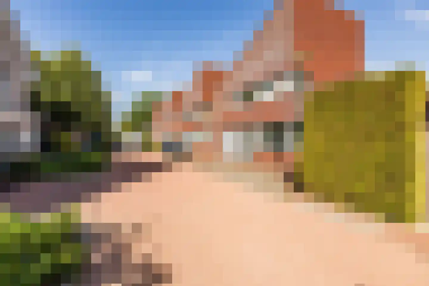Langecruysstraat 28 Hilvarenbeek thumbnail 49