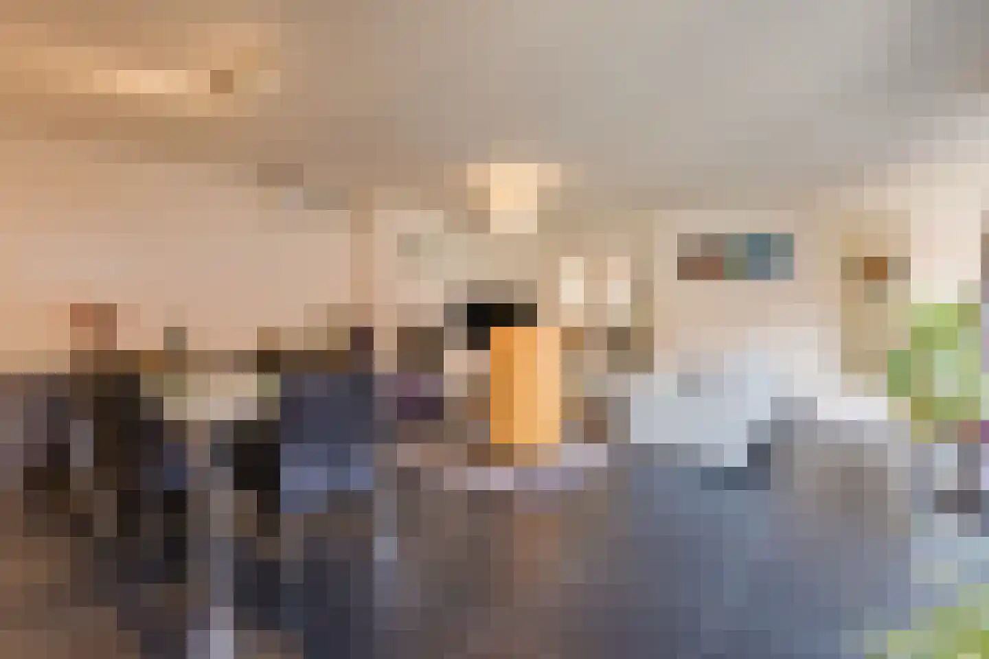 Langecruysstraat 28 Hilvarenbeek thumbnail 6