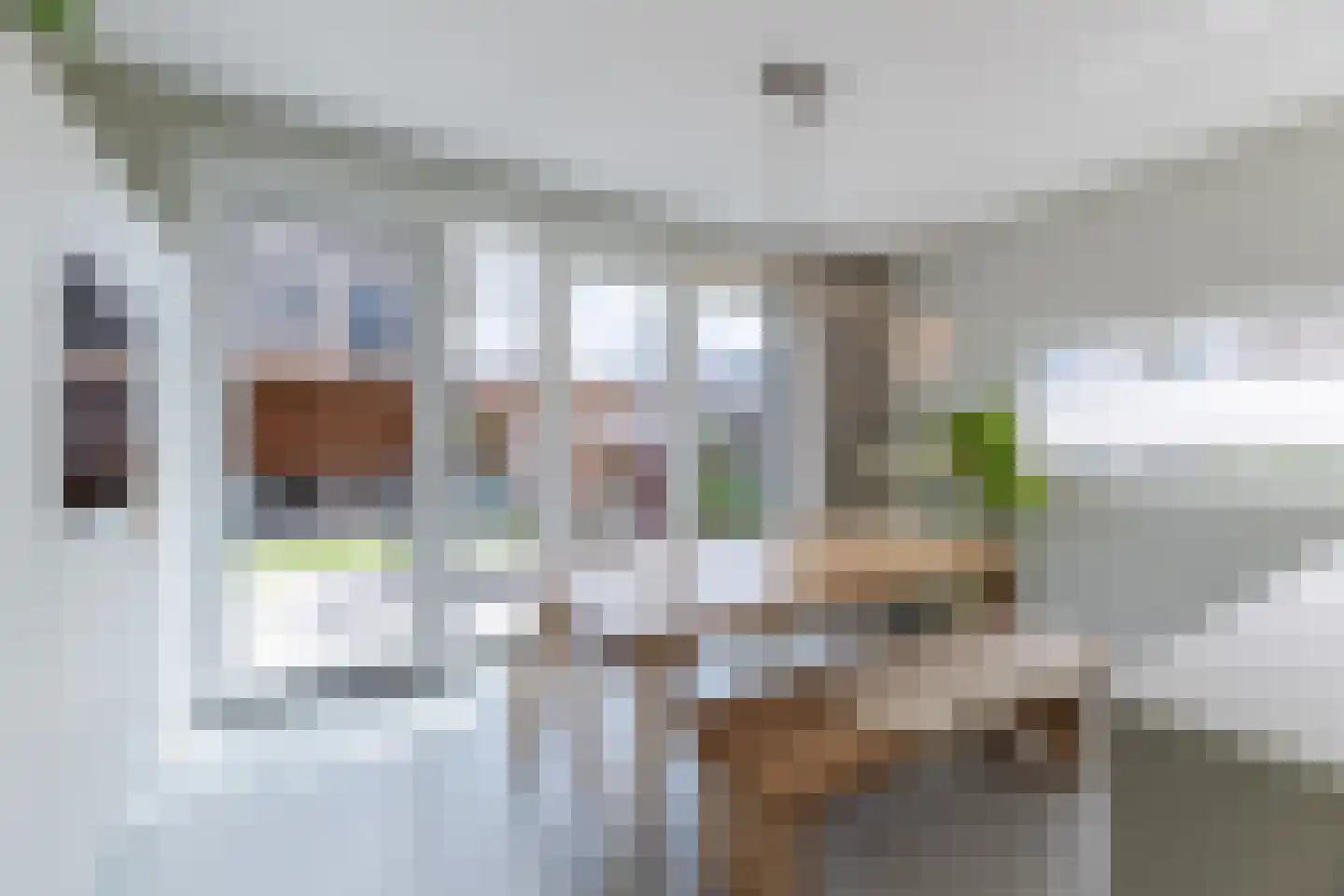 Langecruysstraat 31 Hilvarenbeek thumbnail 10