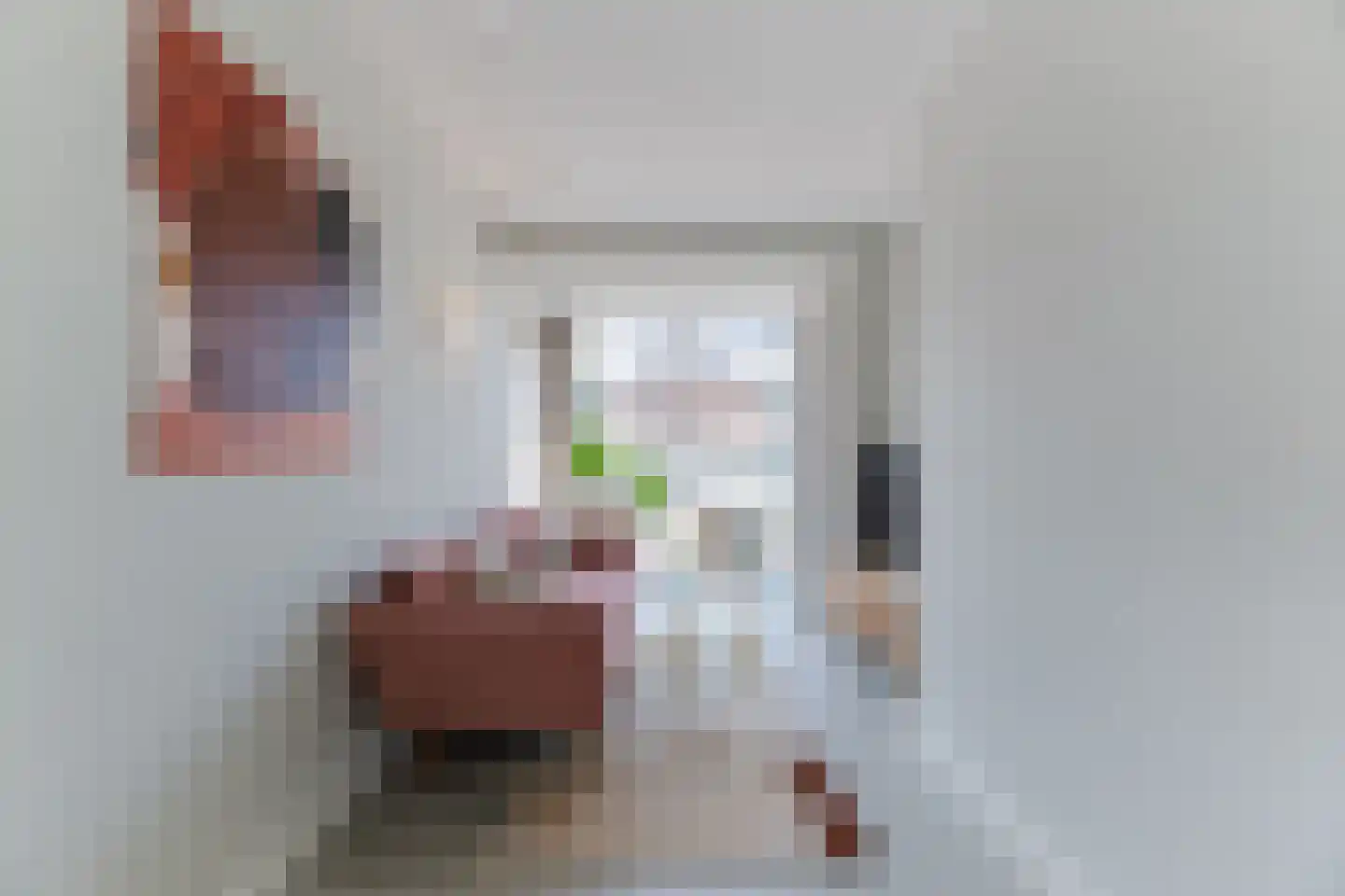 Langecruysstraat 31 Hilvarenbeek thumbnail 14