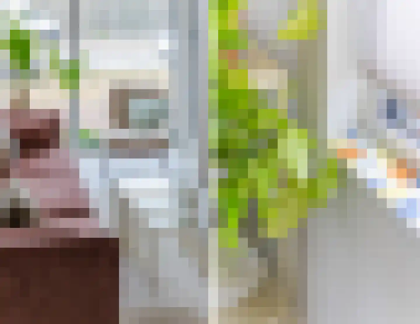 Langecruysstraat 31 Hilvarenbeek thumbnail 16