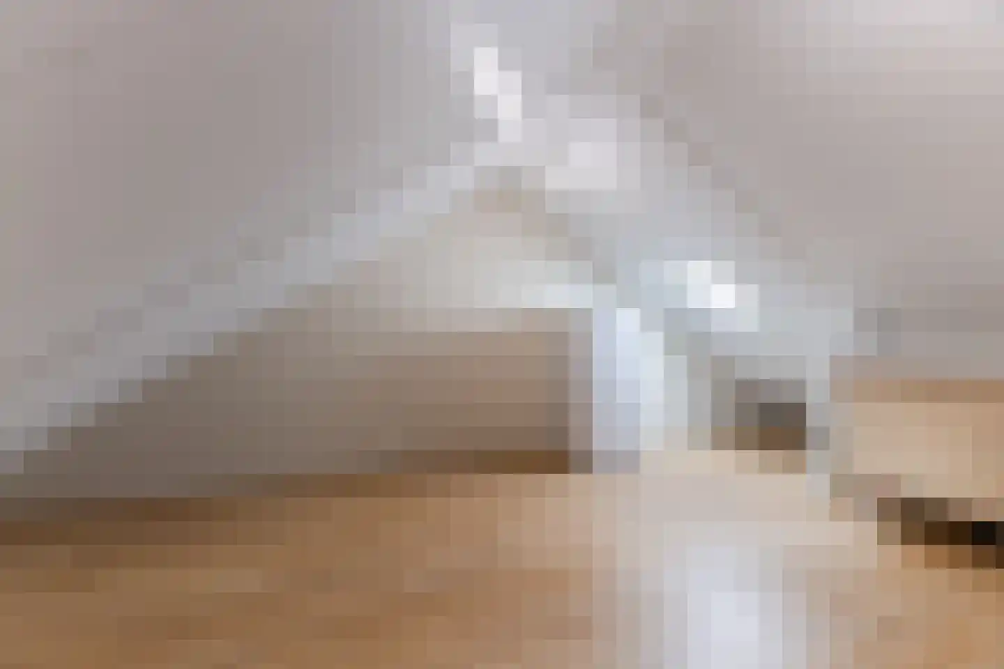 Langecruysstraat 31 Hilvarenbeek thumbnail 32