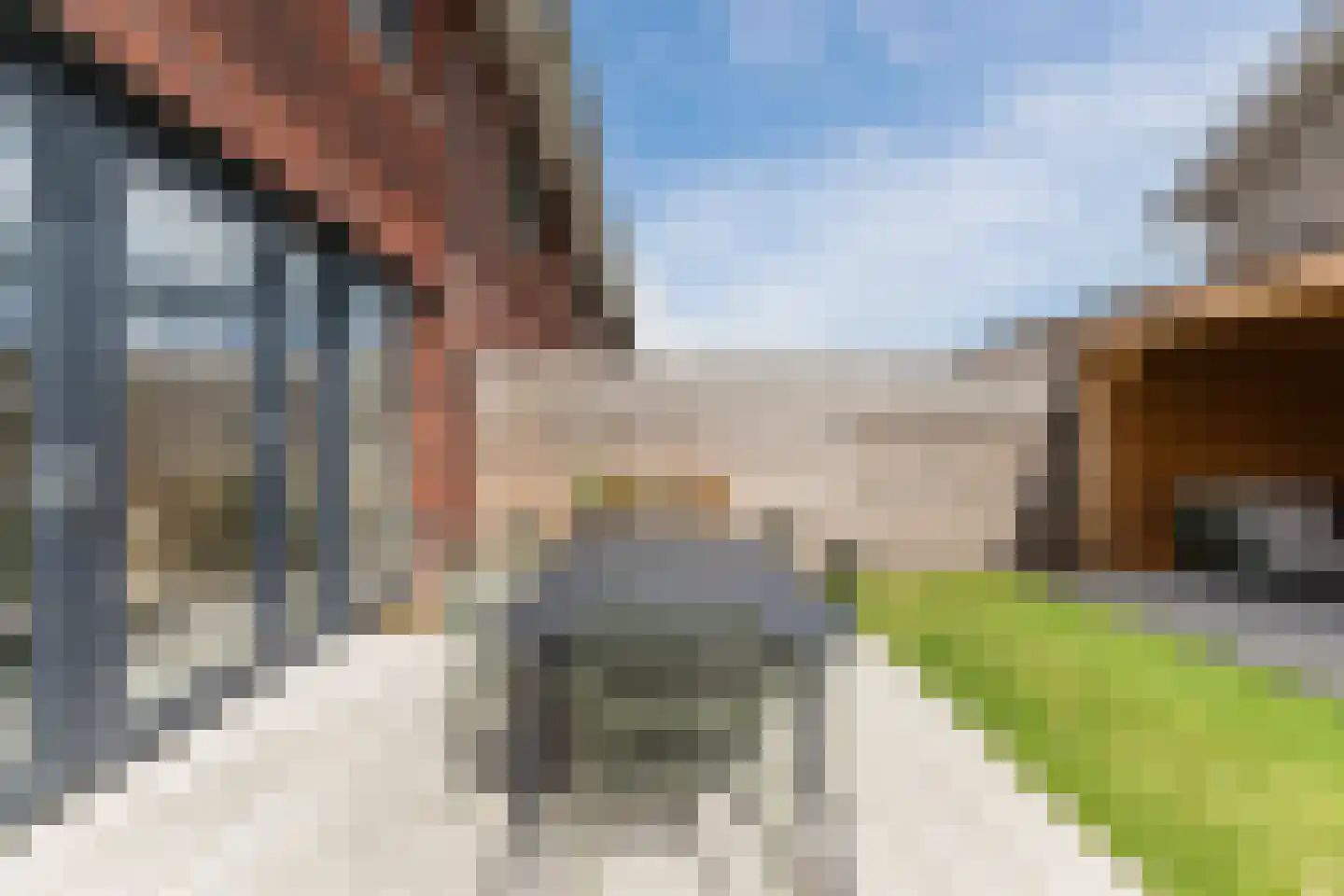 Langecruysstraat 31 Hilvarenbeek thumbnail 37