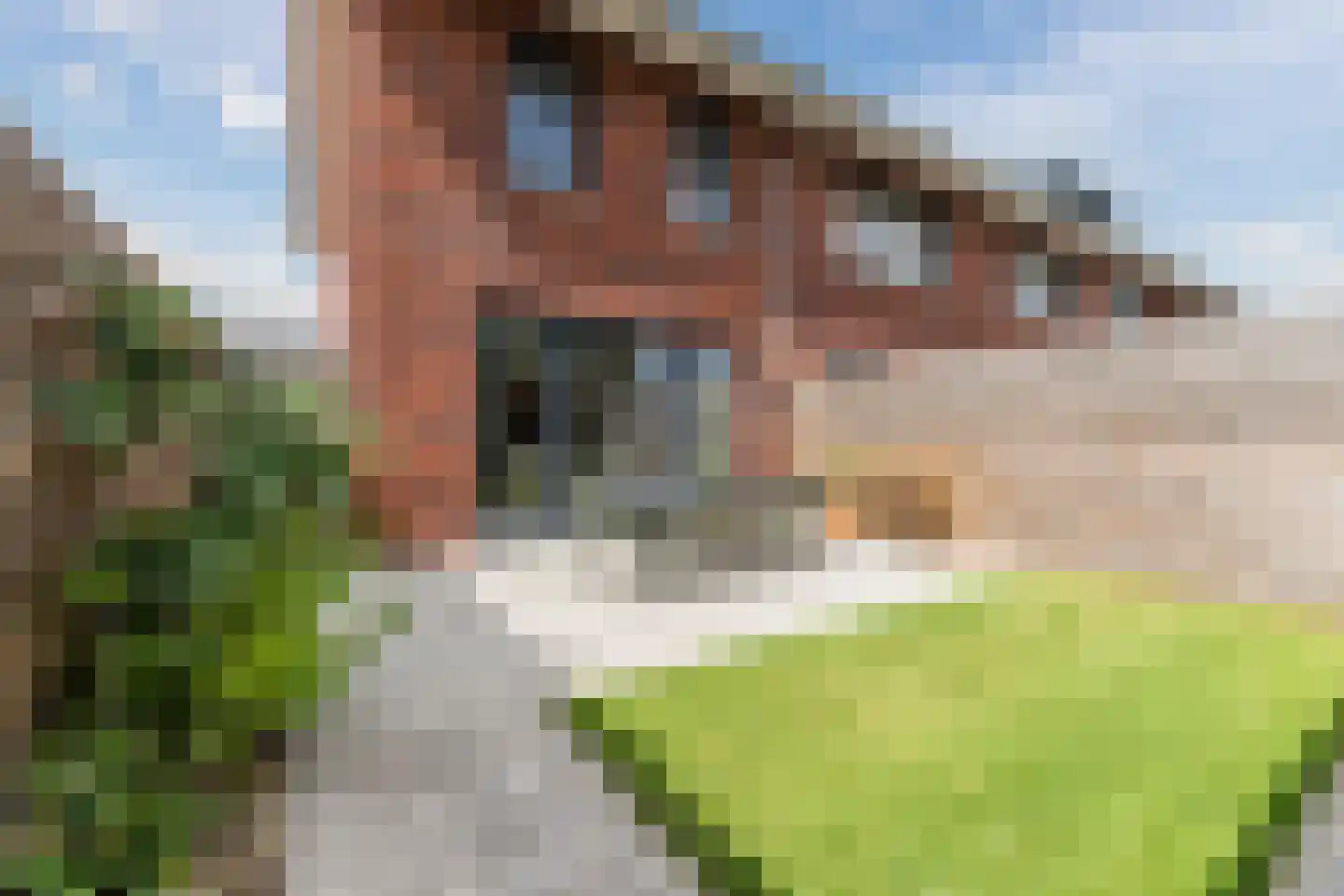 Langecruysstraat 31 Hilvarenbeek thumbnail 39