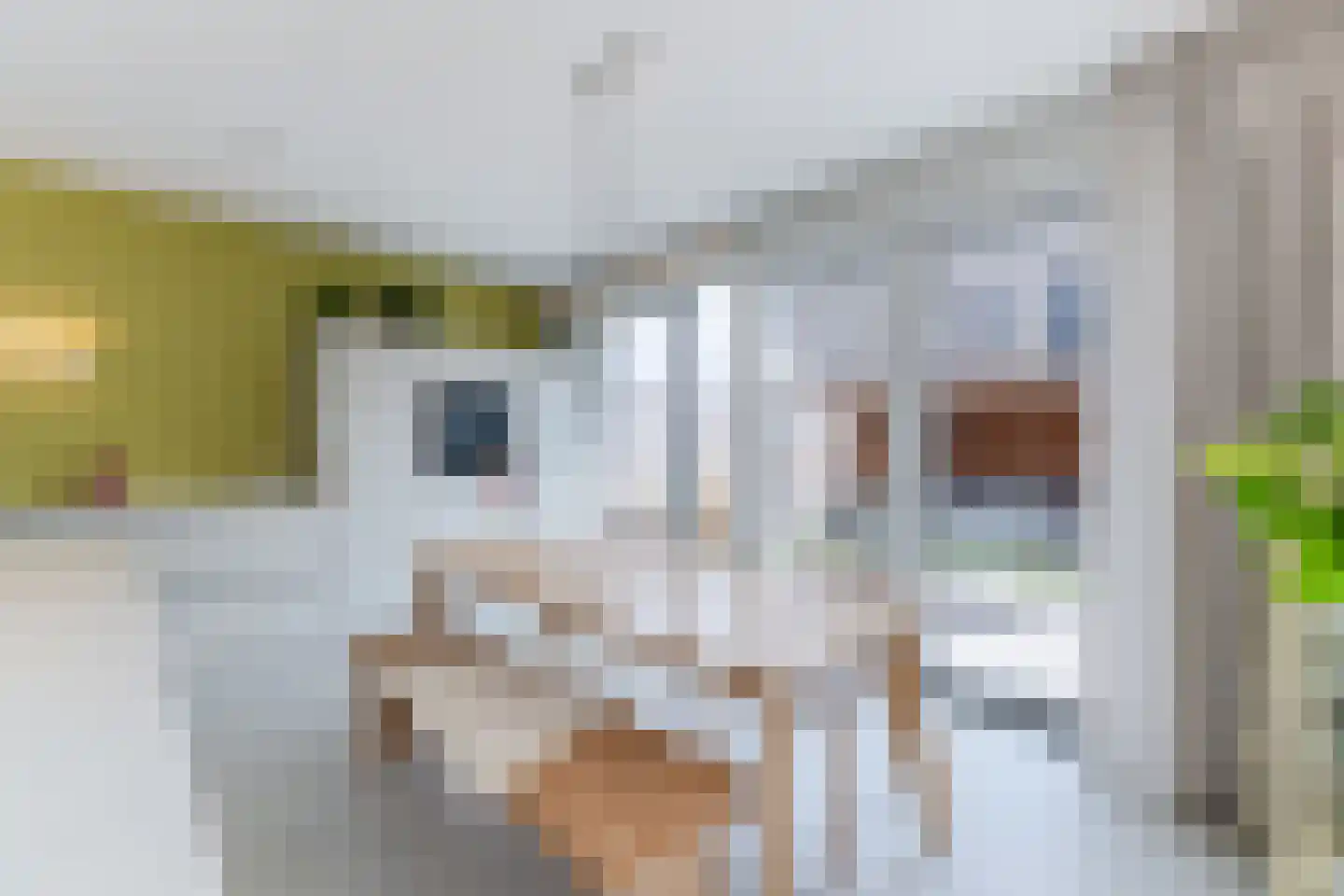 Langecruysstraat 31 Hilvarenbeek thumbnail 4