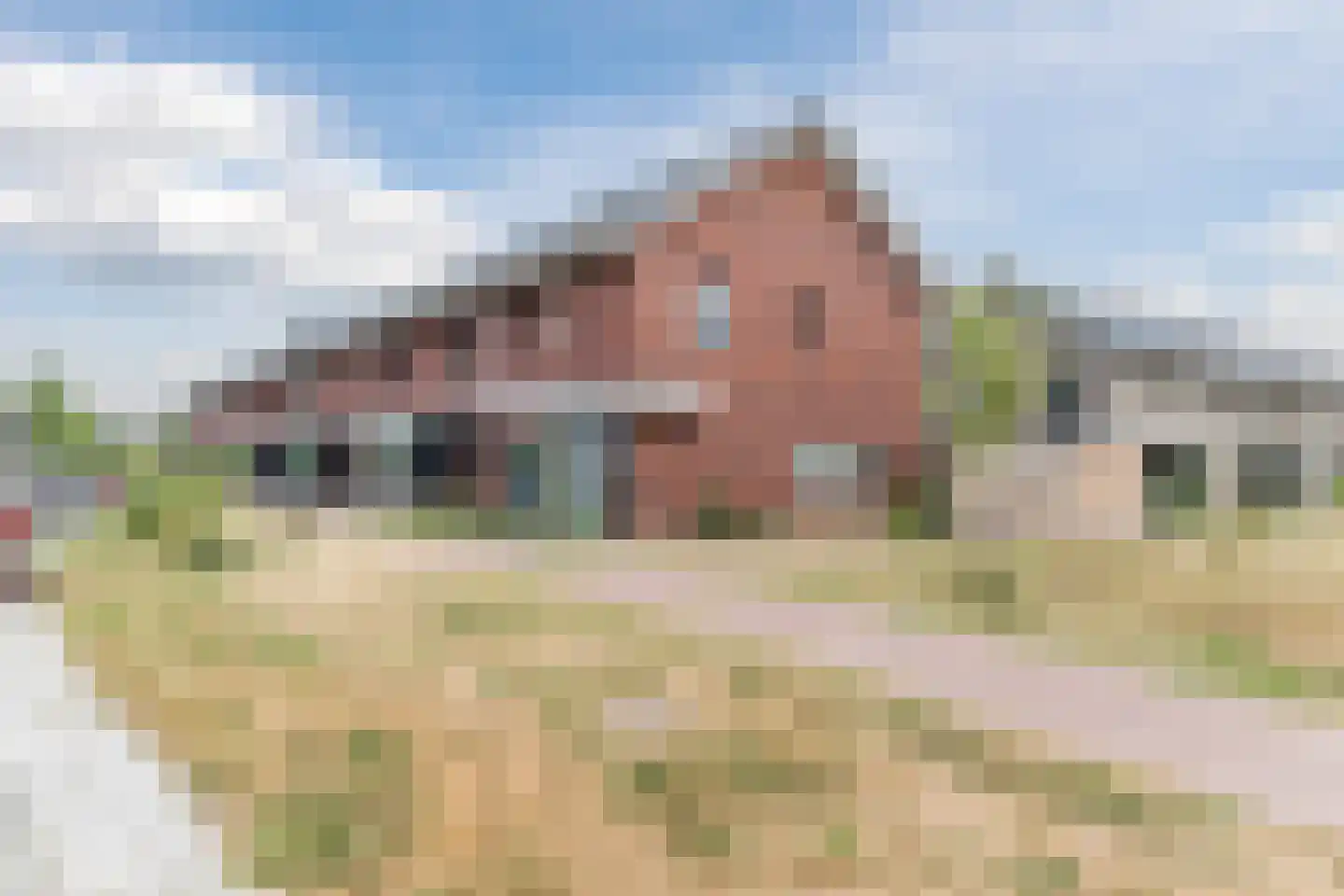 Langecruysstraat 31 Hilvarenbeek thumbnail 45