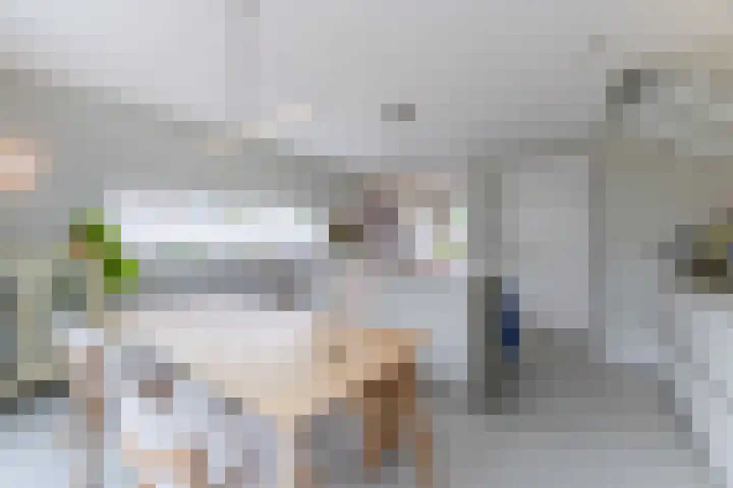 Langecruysstraat 31 Hilvarenbeek thumbnail 8
