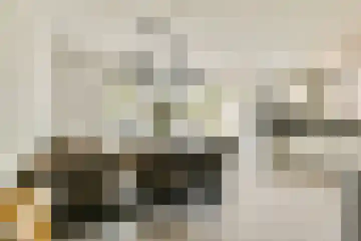 Langedaal 126 Dordrecht thumbnail 8