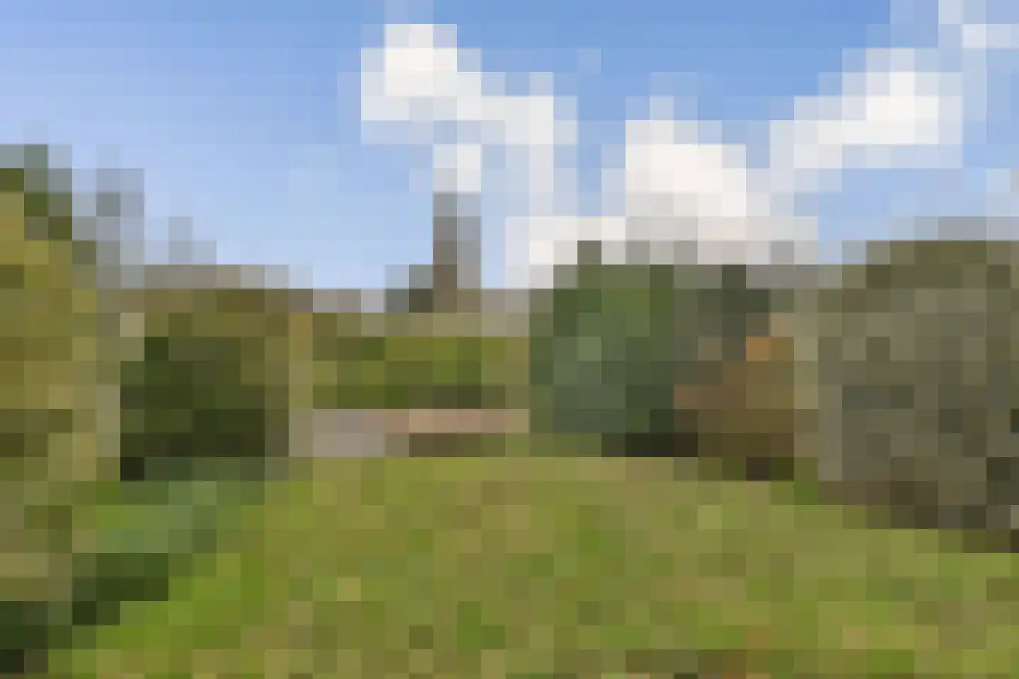Langedaal 139 Dordrecht thumbnail 22