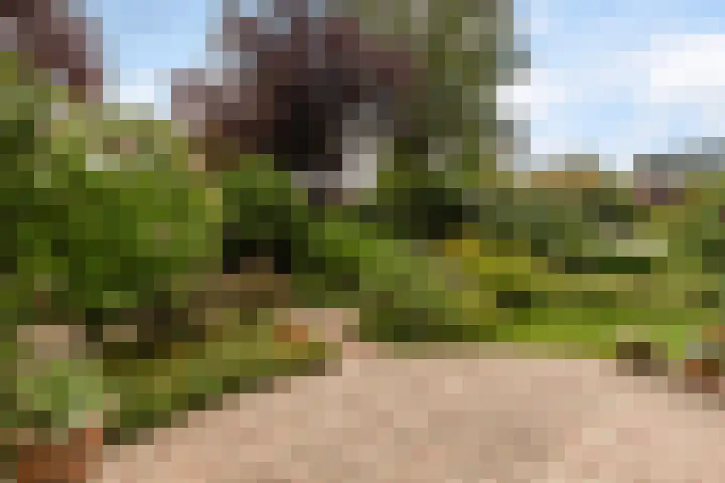 Langedaal 150 Dordrecht thumbnail 42