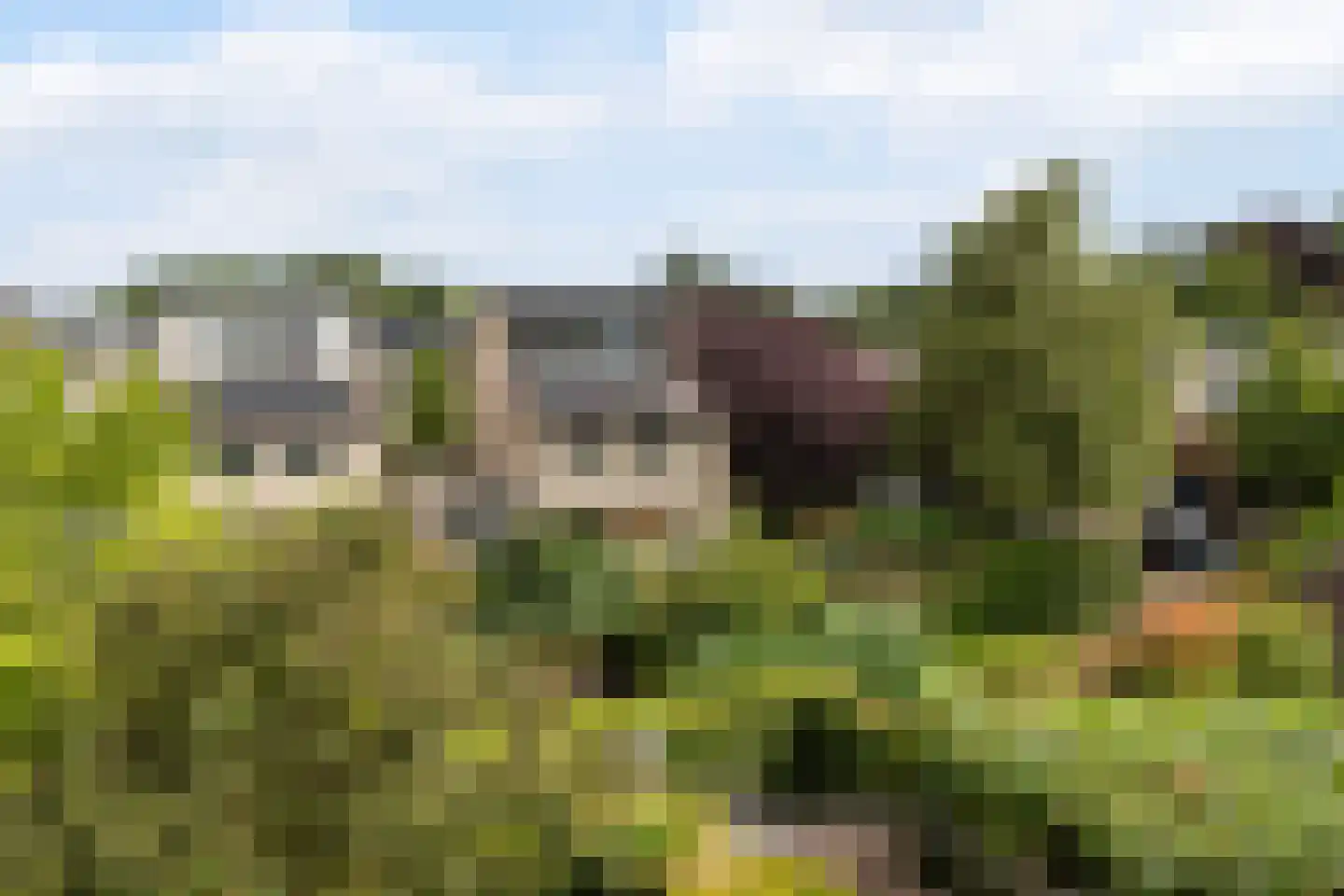 Langedaal 150 Dordrecht thumbnail 5