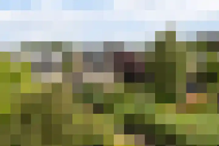 Langedaal 150 Dordrecht thumbnail 5