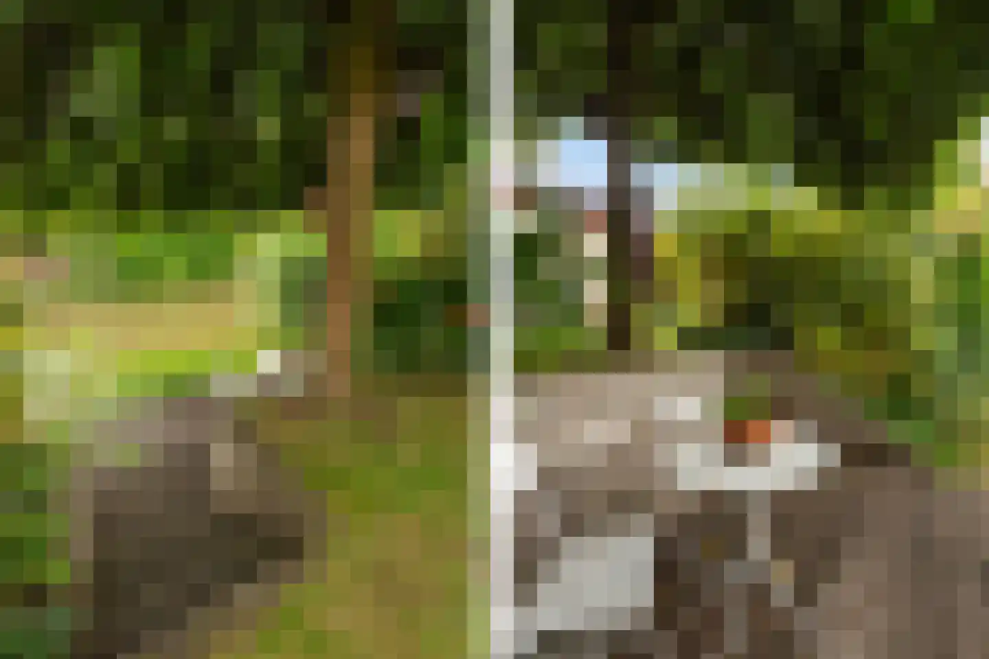 Langedaal 150 Dordrecht thumbnail 53
