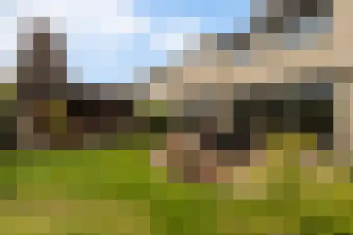 Langedaal 150 Dordrecht thumbnail 57
