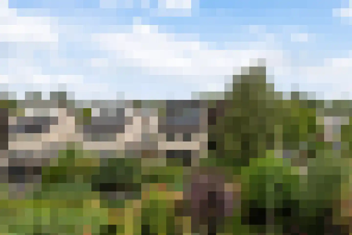 Langedaal 150 Dordrecht thumbnail 6