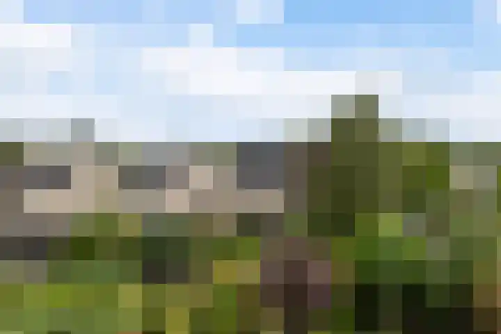 Langedaal 150 Dordrecht thumbnail 6
