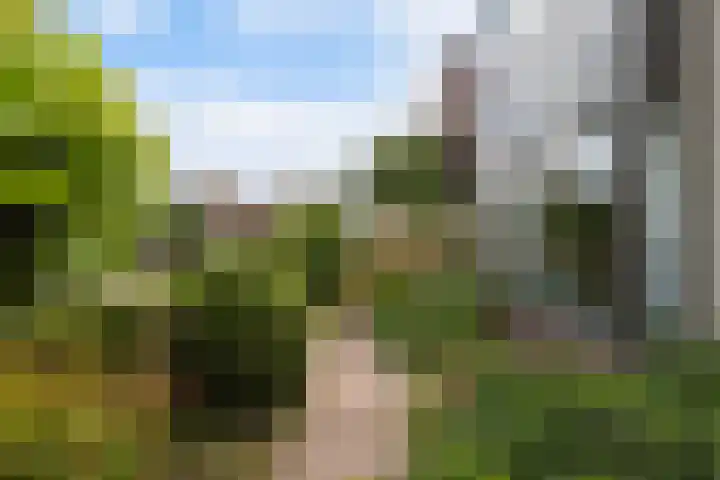 Langedaal 150 Dordrecht thumbnail 9