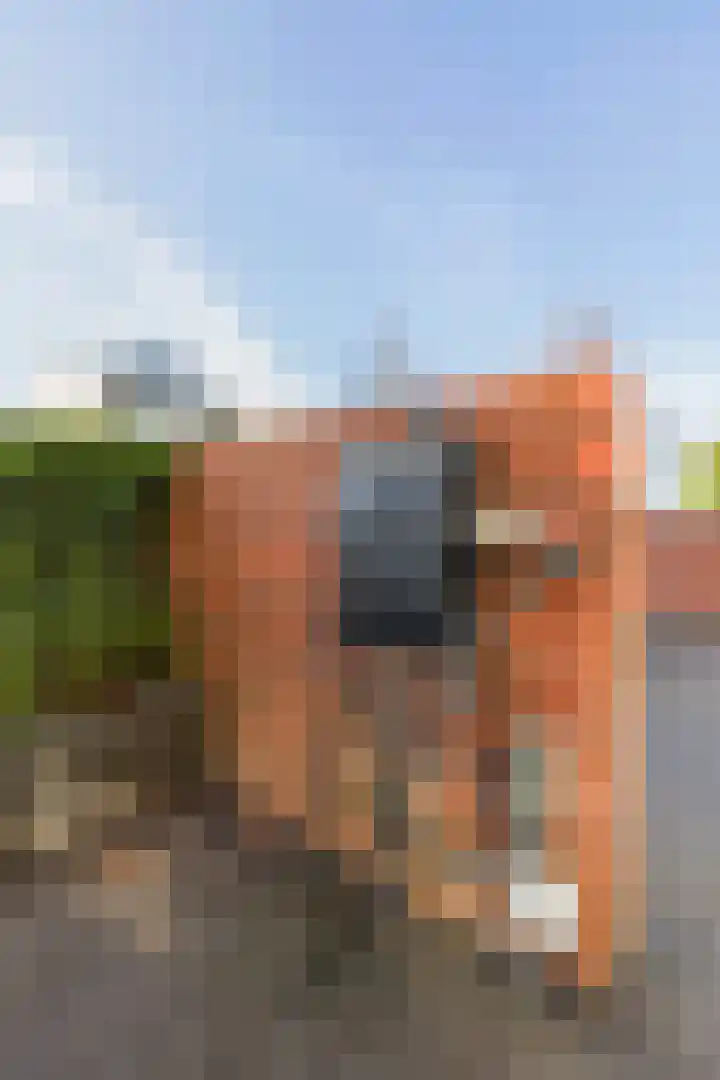 Langedaal 153 Dordrecht thumbnail 55