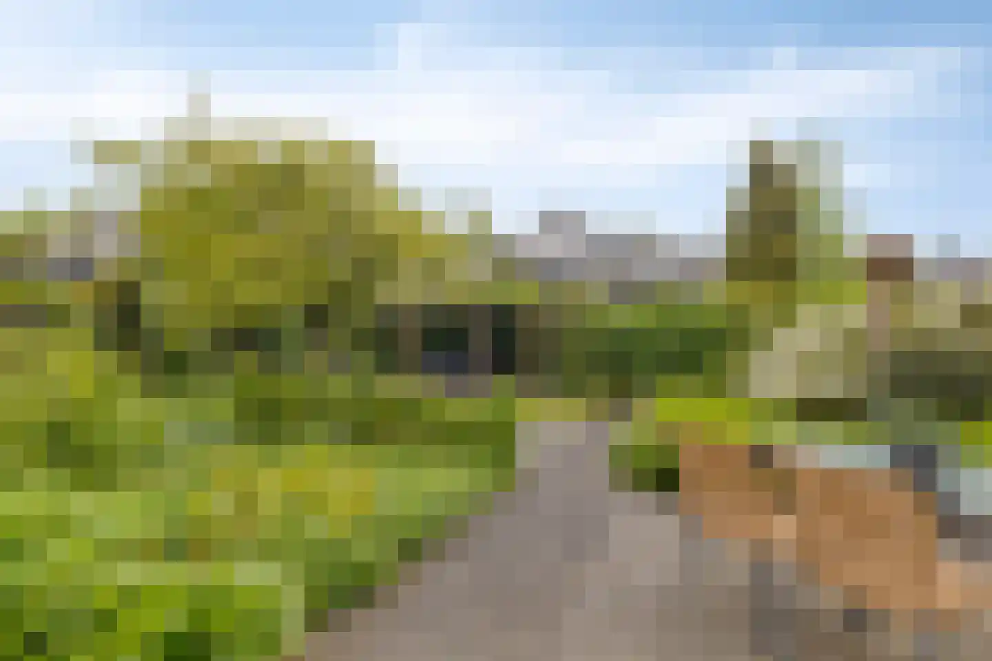 Langedaal 185 Dordrecht thumbnail 29