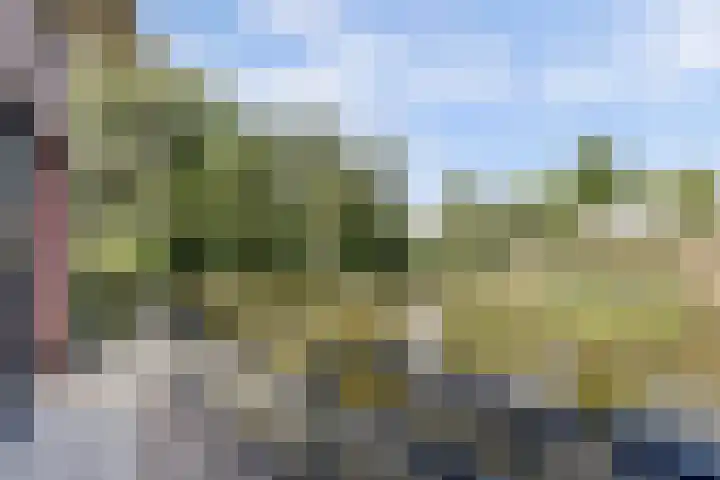 Langedaal 5 Dordrecht thumbnail 44