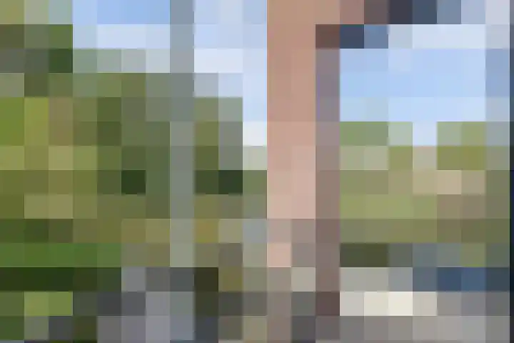 Langedaal 5 Dordrecht thumbnail 45