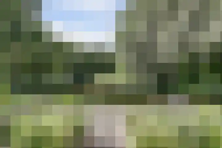 Langedaal 5 Dordrecht thumbnail 5