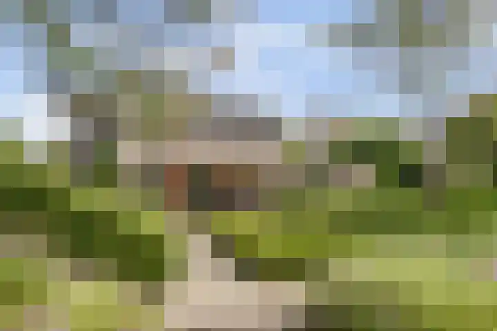 Langedaal 5 Dordrecht thumbnail 52