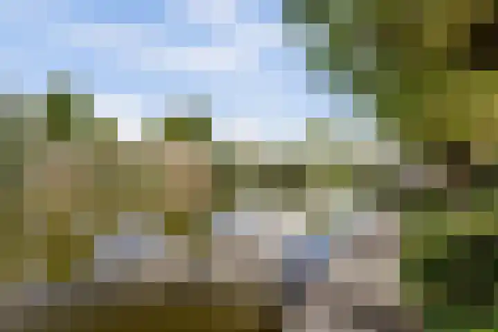 Langedaal 5 Dordrecht thumbnail 53