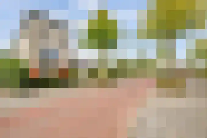 Langedaal 5 Dordrecht thumbnail 9