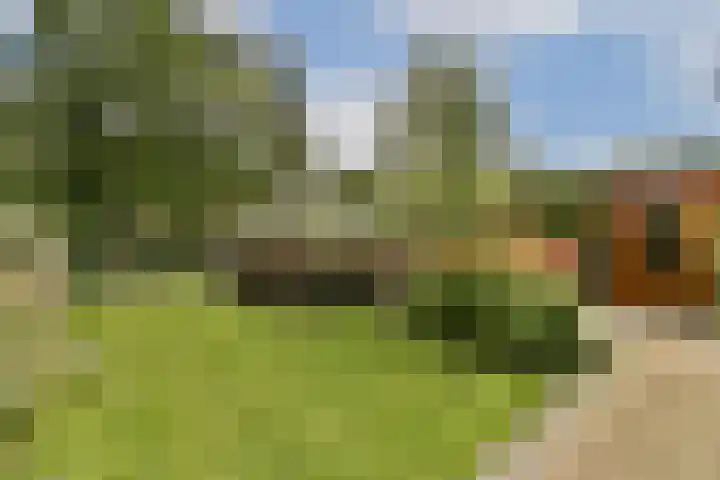 Langedaal 77 Dordrecht thumbnail 34