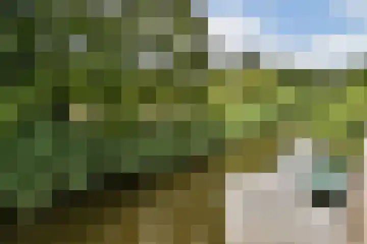 Langedaal 77 Dordrecht thumbnail 36