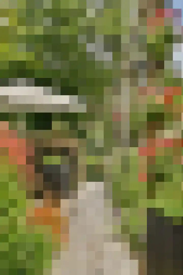 Langedaal 77 Dordrecht thumbnail 37