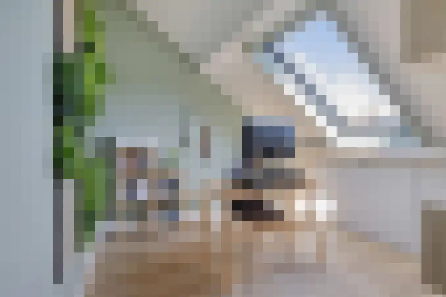 Langedam 15 Vught thumbnail 22