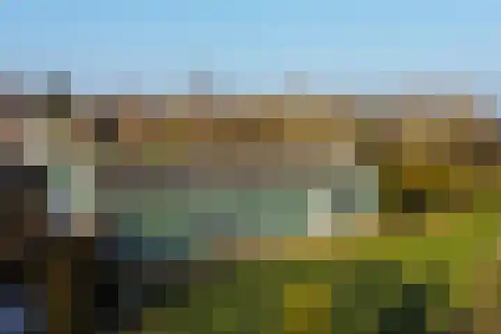 Langedijk 13 b Hollandscheveld thumbnail 38