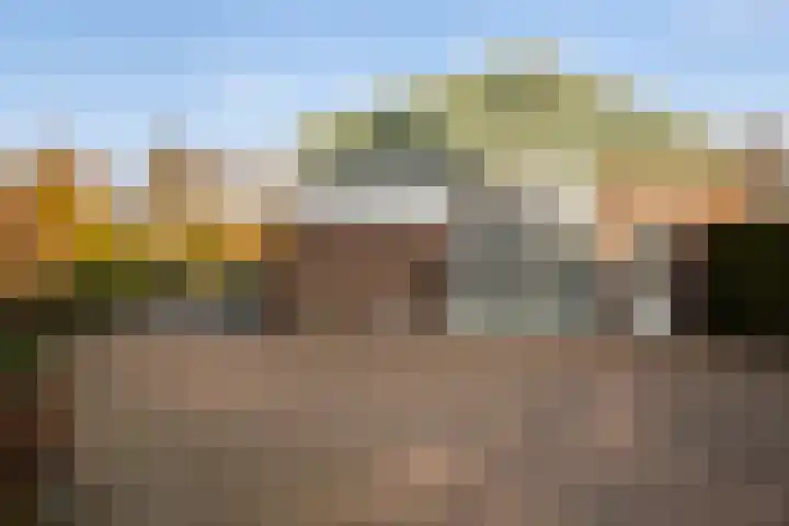 Langedijk 13 b Hollandscheveld thumbnail 39