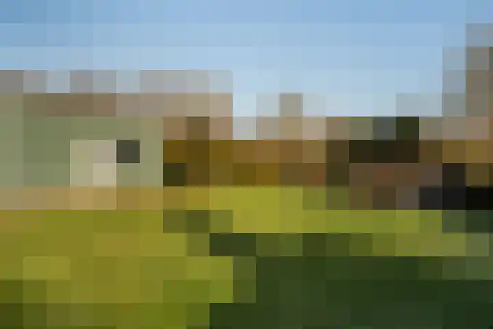 Langedijk 13 b Hollandscheveld thumbnail 51