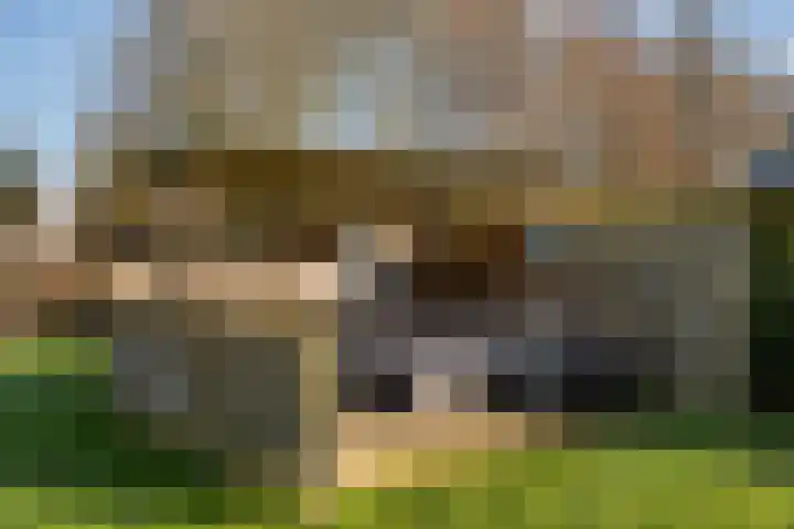Langedijk 13 b Hollandscheveld thumbnail 54