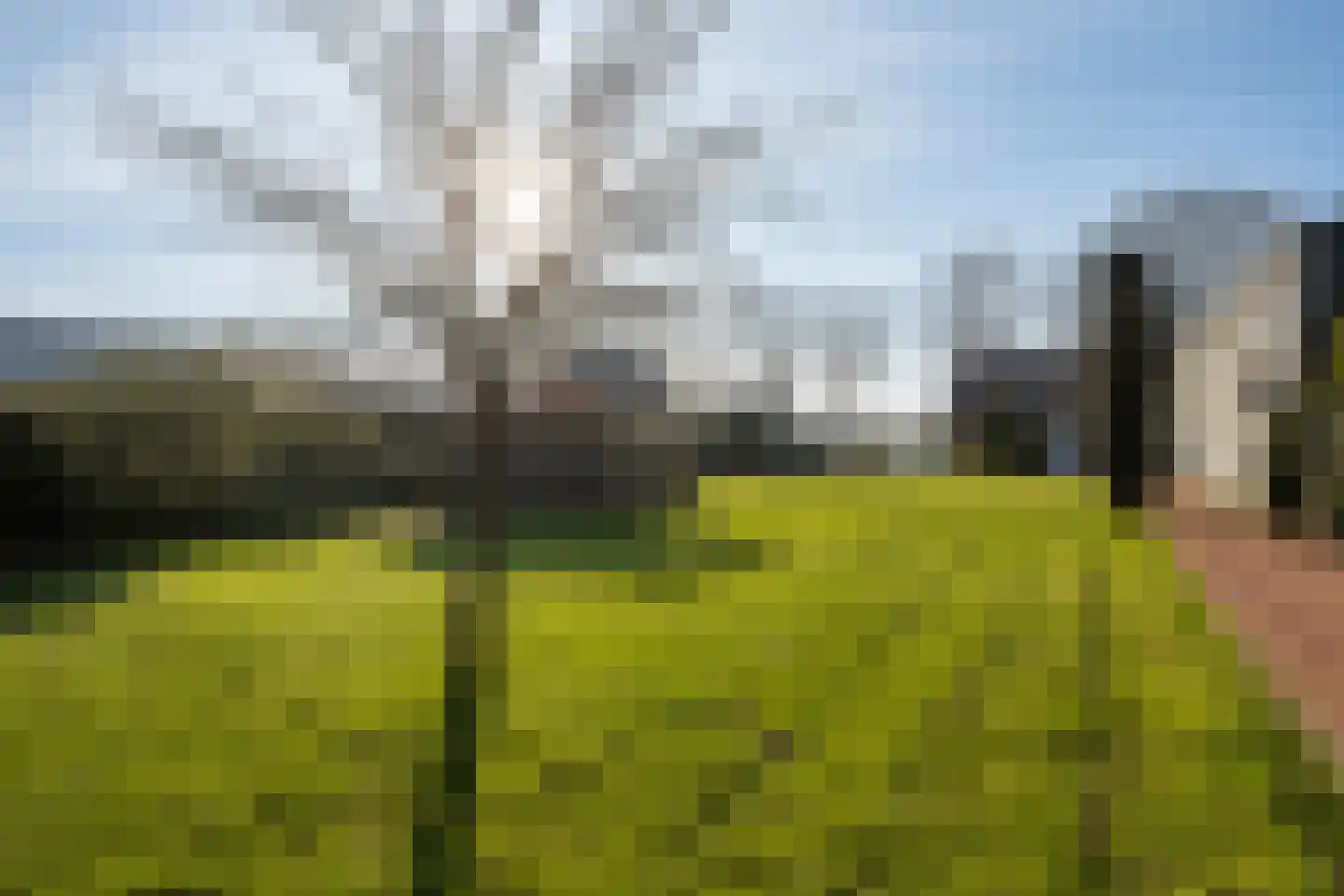 Langedijk 13 b Hollandscheveld thumbnail 55