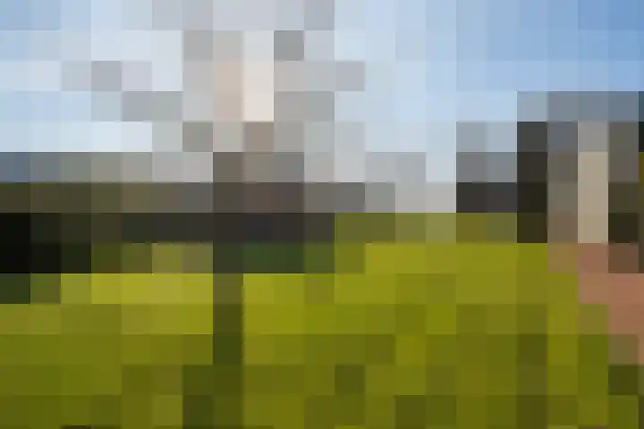 Langedijk 13 b Hollandscheveld thumbnail 55