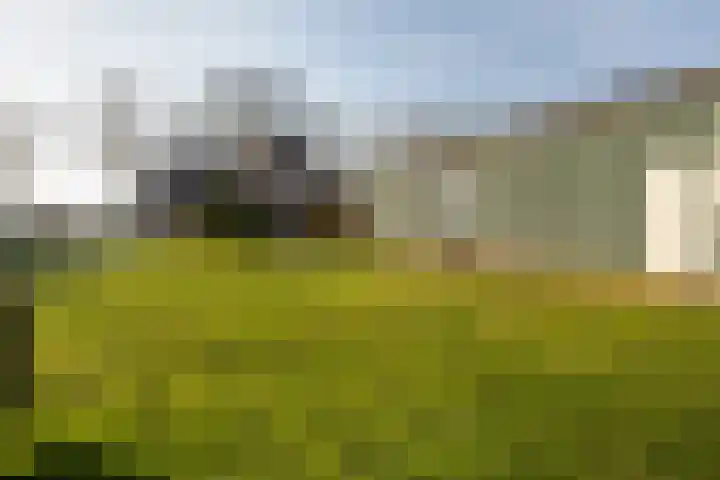 Langedijk 13 b Hollandscheveld thumbnail 56