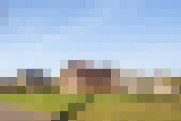 Langedijk 13 b Hollandscheveld thumbnail 60