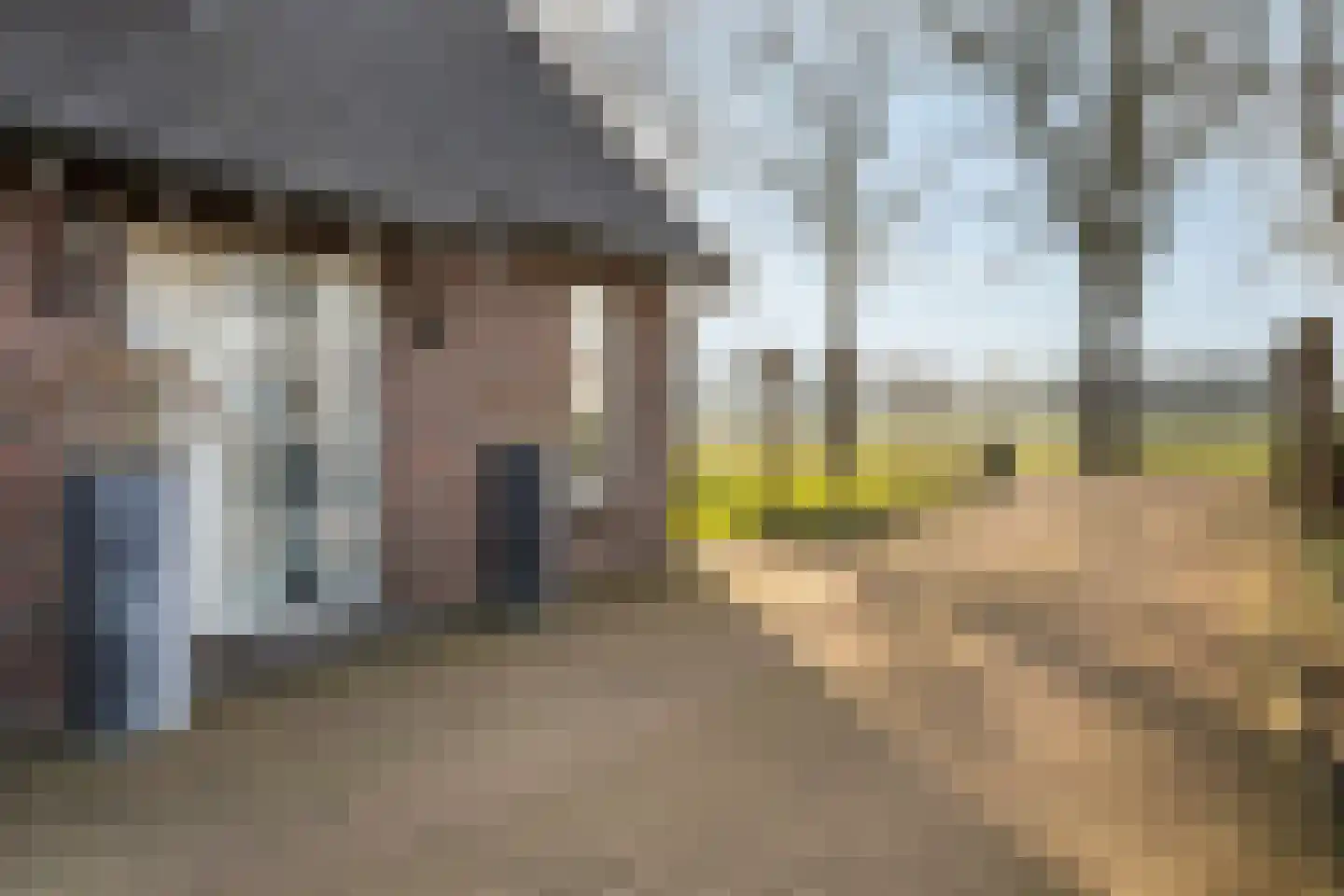 Langedijk 13 b Hollandscheveld thumbnail 61