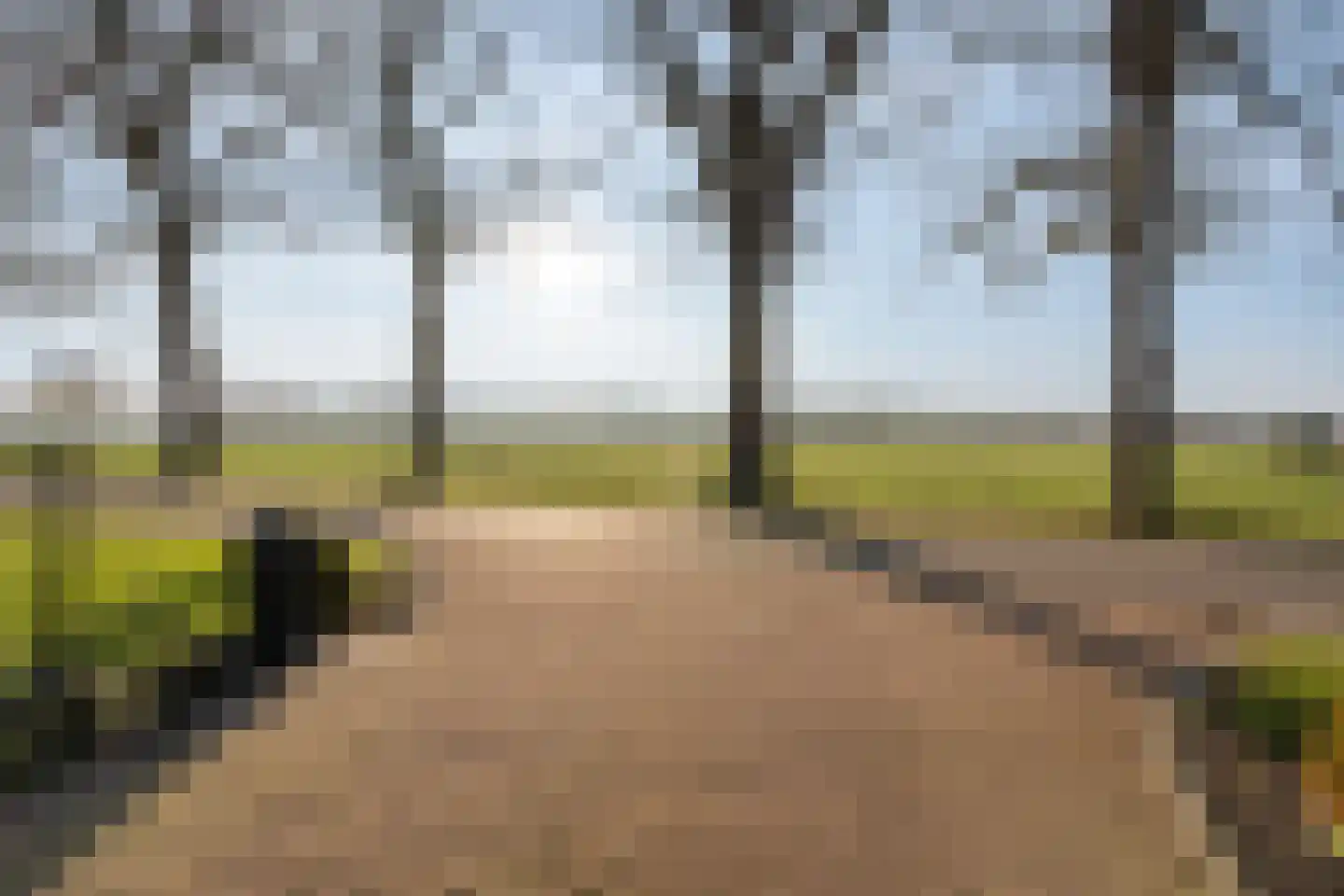 Langedijk 13 b Hollandscheveld thumbnail 62