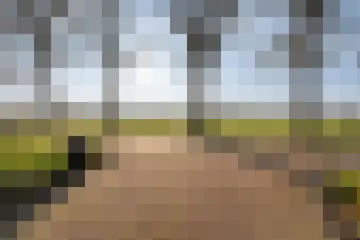 Langedijk 13 b Hollandscheveld thumbnail 62