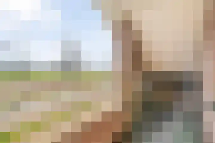 Langedijk 25 Koekange thumbnail 37