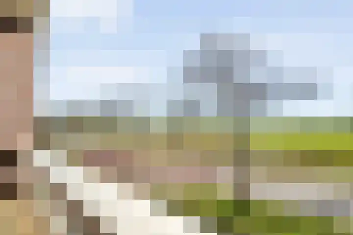 Langedijk 25 Koekange thumbnail 39